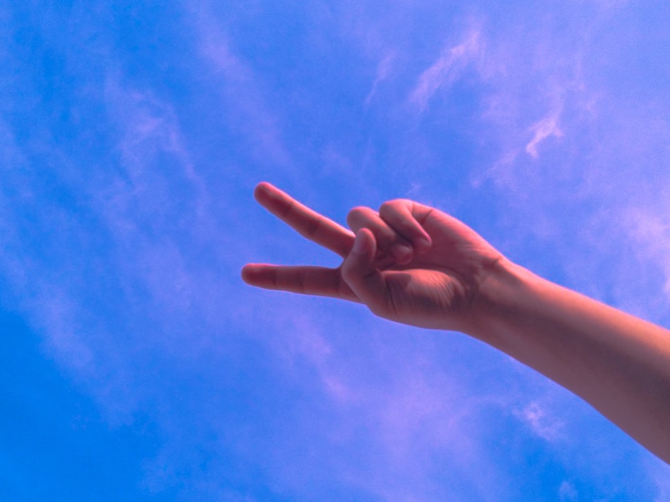 Go to Aashh Subba's profile