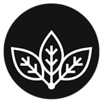 Avatar of user Birch Moon Wellness Co