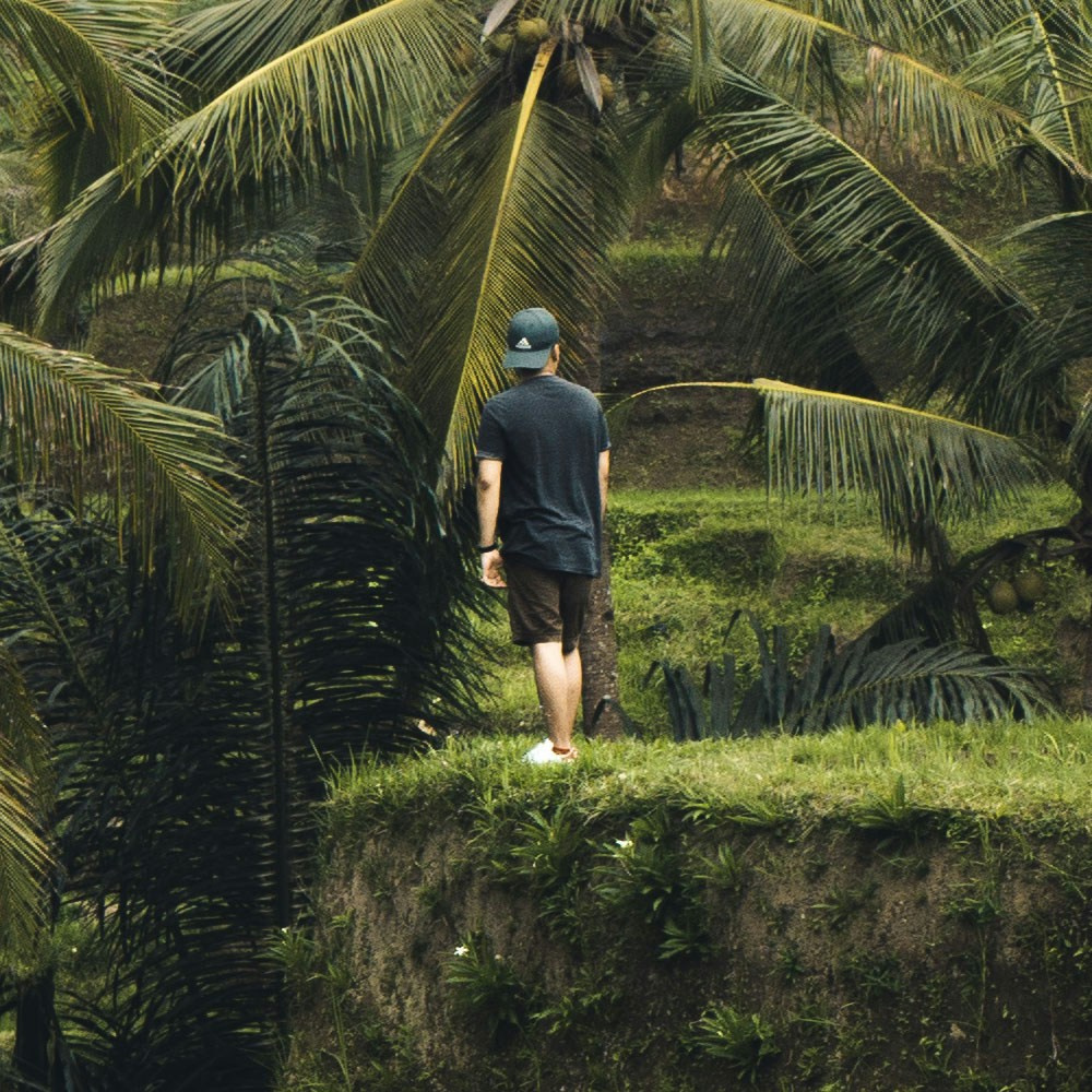 Go to Elihu Gideon's profile