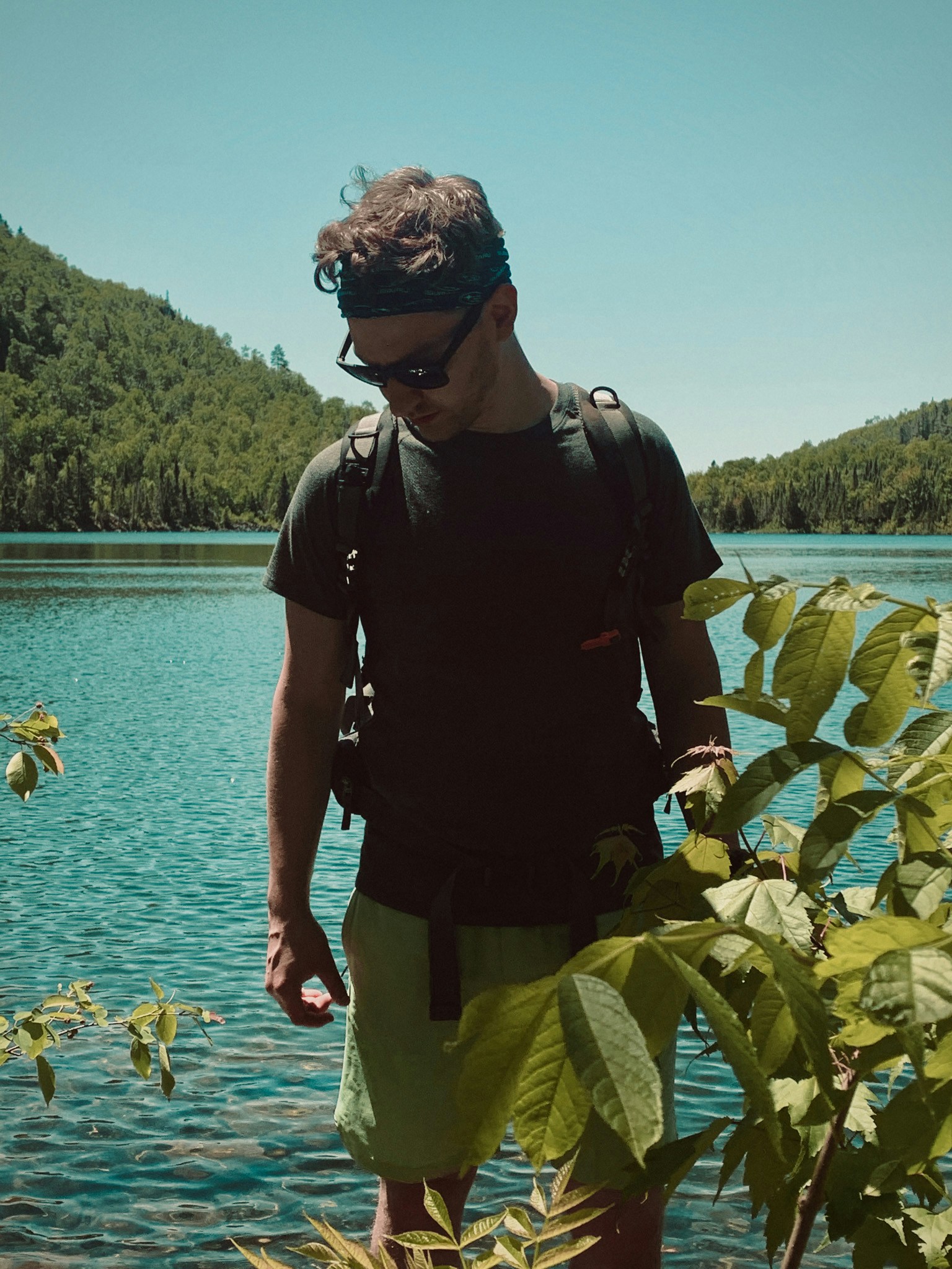 Go to Collin Clyne's profile