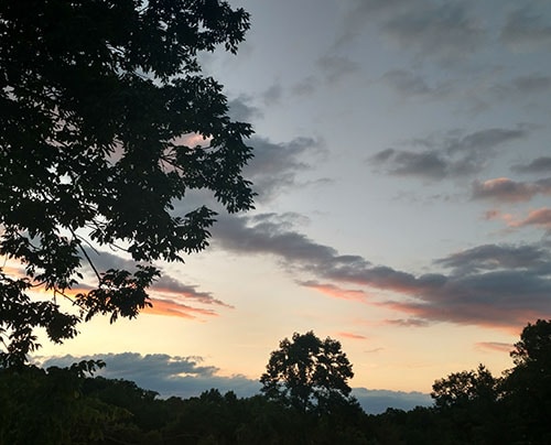 Go to Kae Anderson's profile