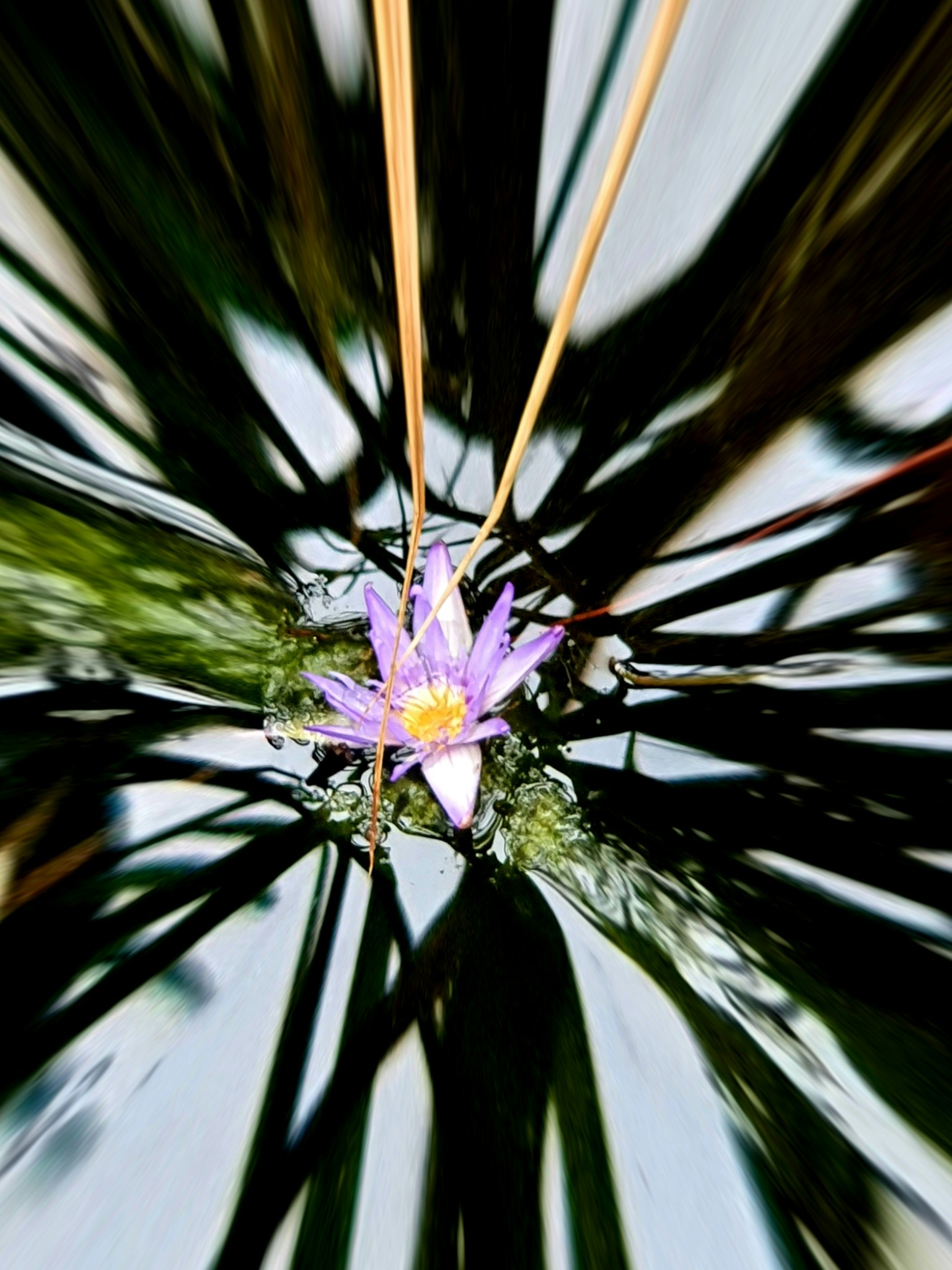 Go to Angie Ca Ro's profile