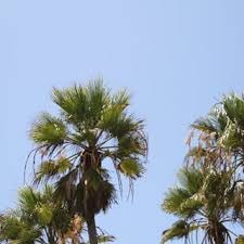 Go to Sander Yigin's profile