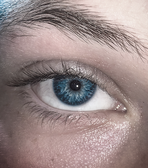 Go to Taylor Cowling's profile