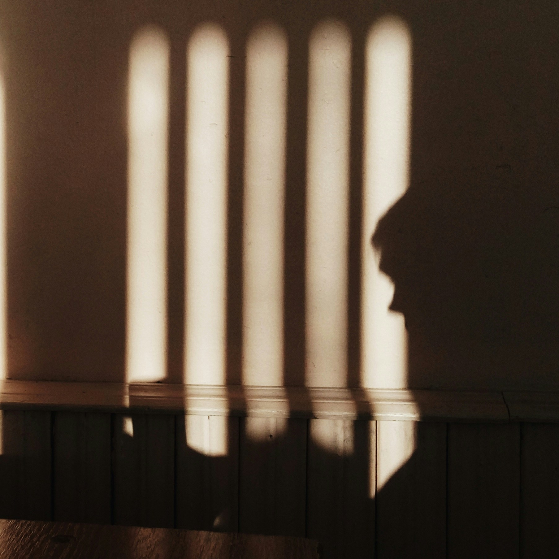 Ve al perfil de Alex Zharov