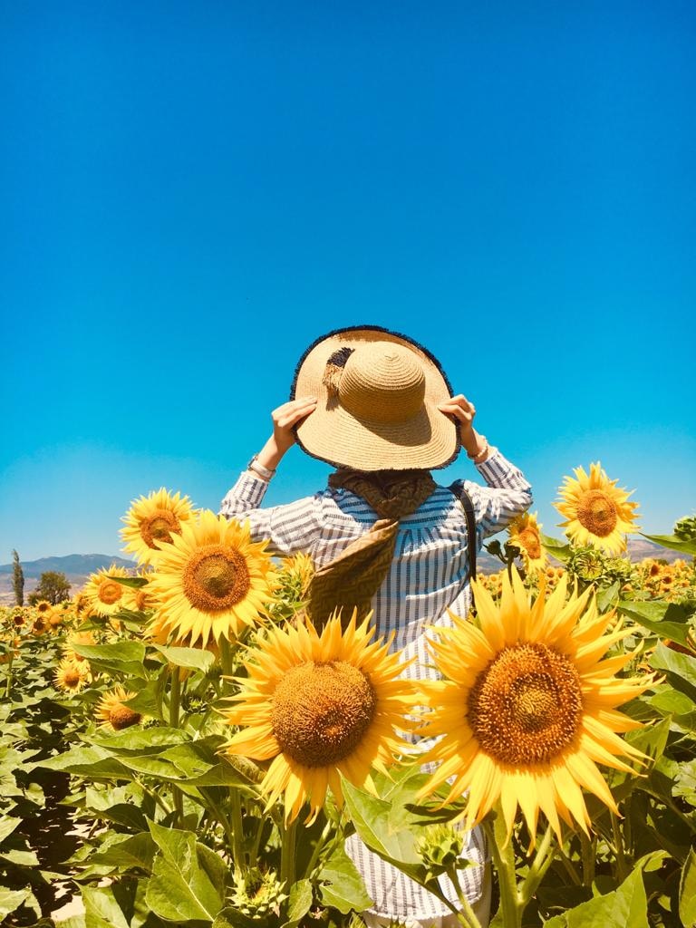 Zum Profil von RUMEYSA AYDIN