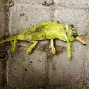 Go to Orit Matee's profile