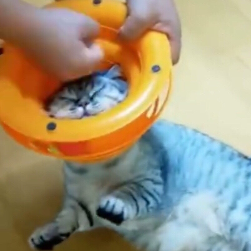 H SJ의 프로필로 이동