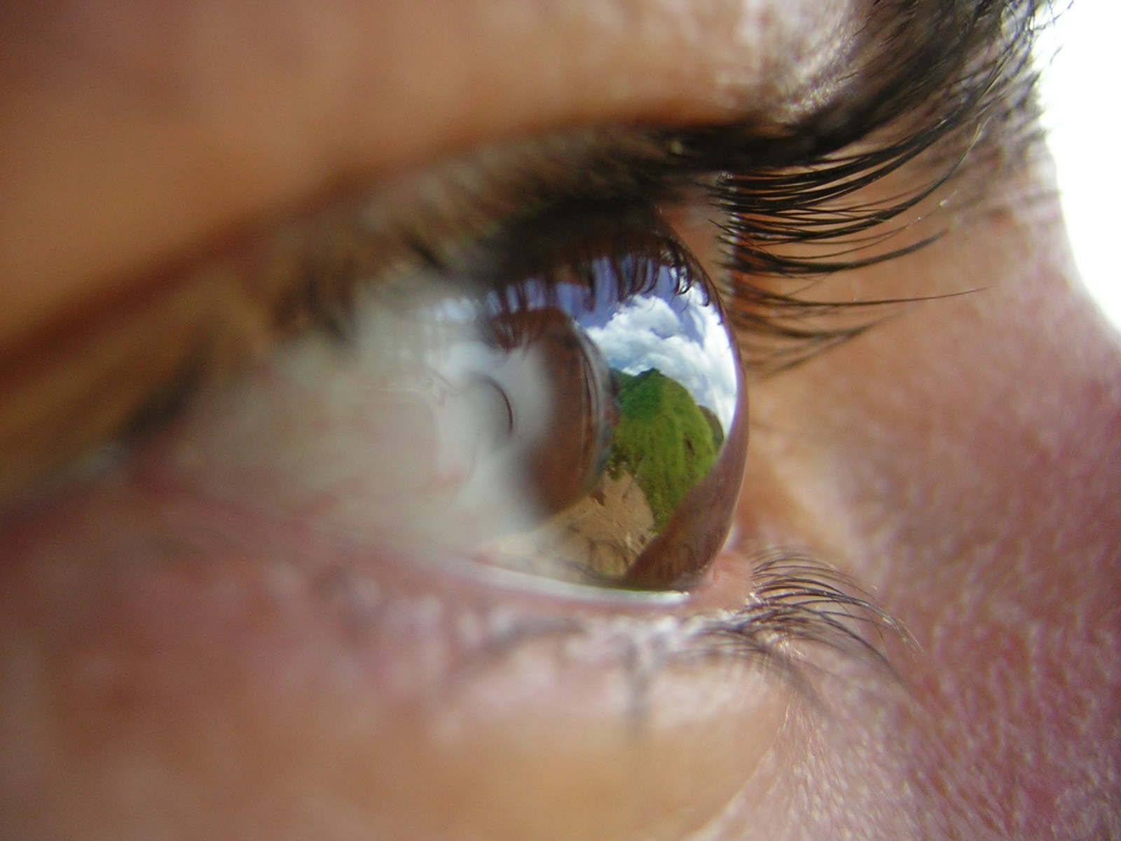 Avatar of user Daniel Cabriles