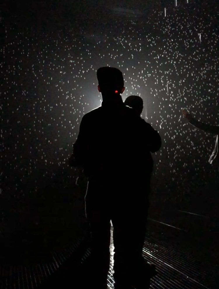 Go to Victor Lu's profile