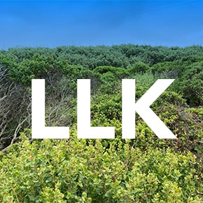 Go to L.L. Kern's profile