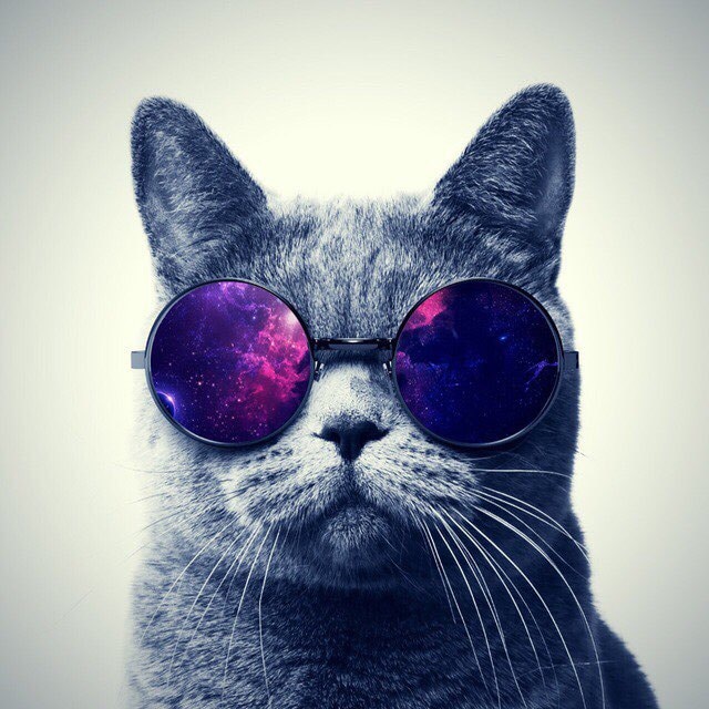 Avatar of user Omar M.