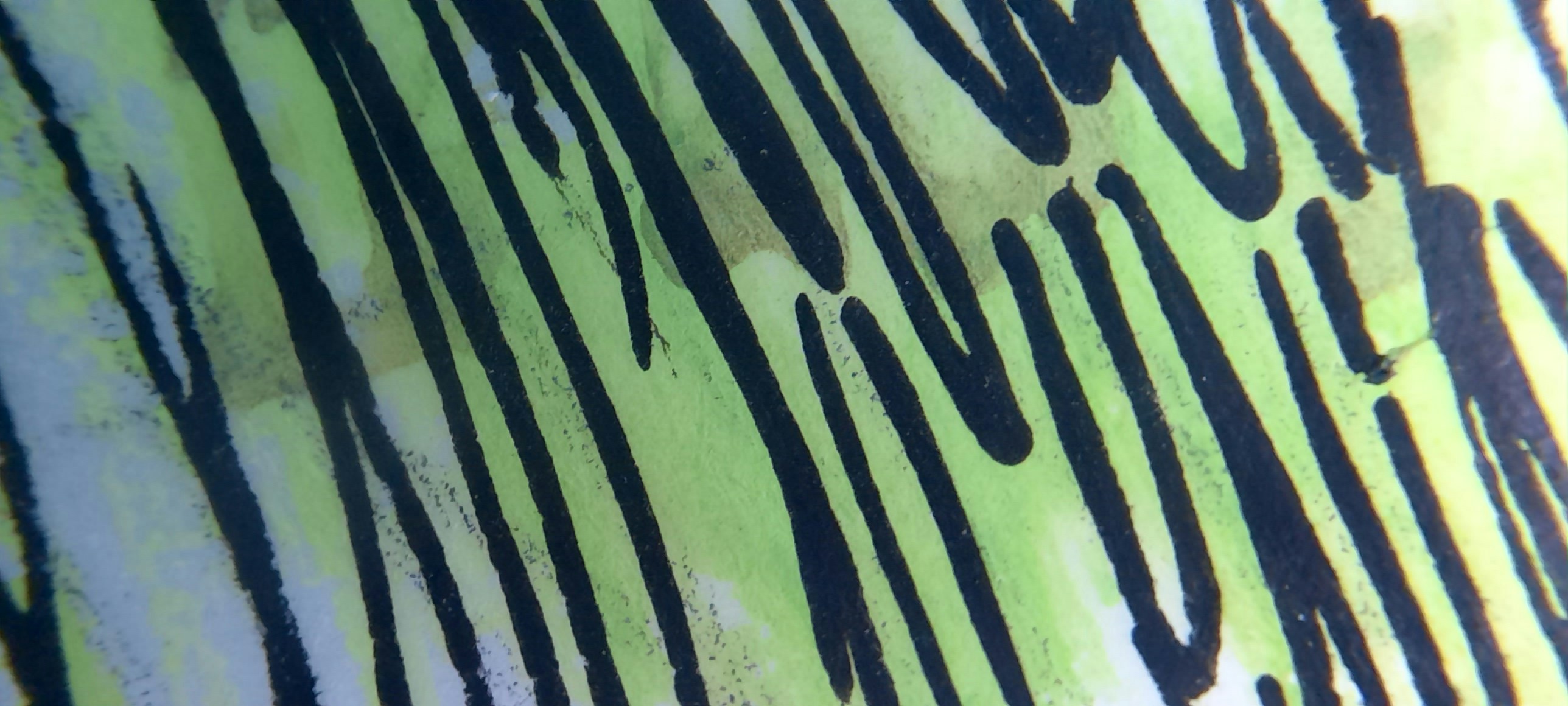 Avatar of user Melissa