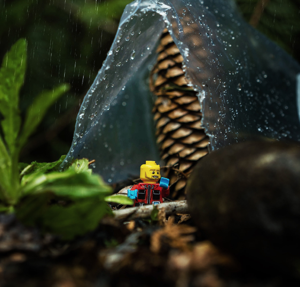 Go to Ray W's profile