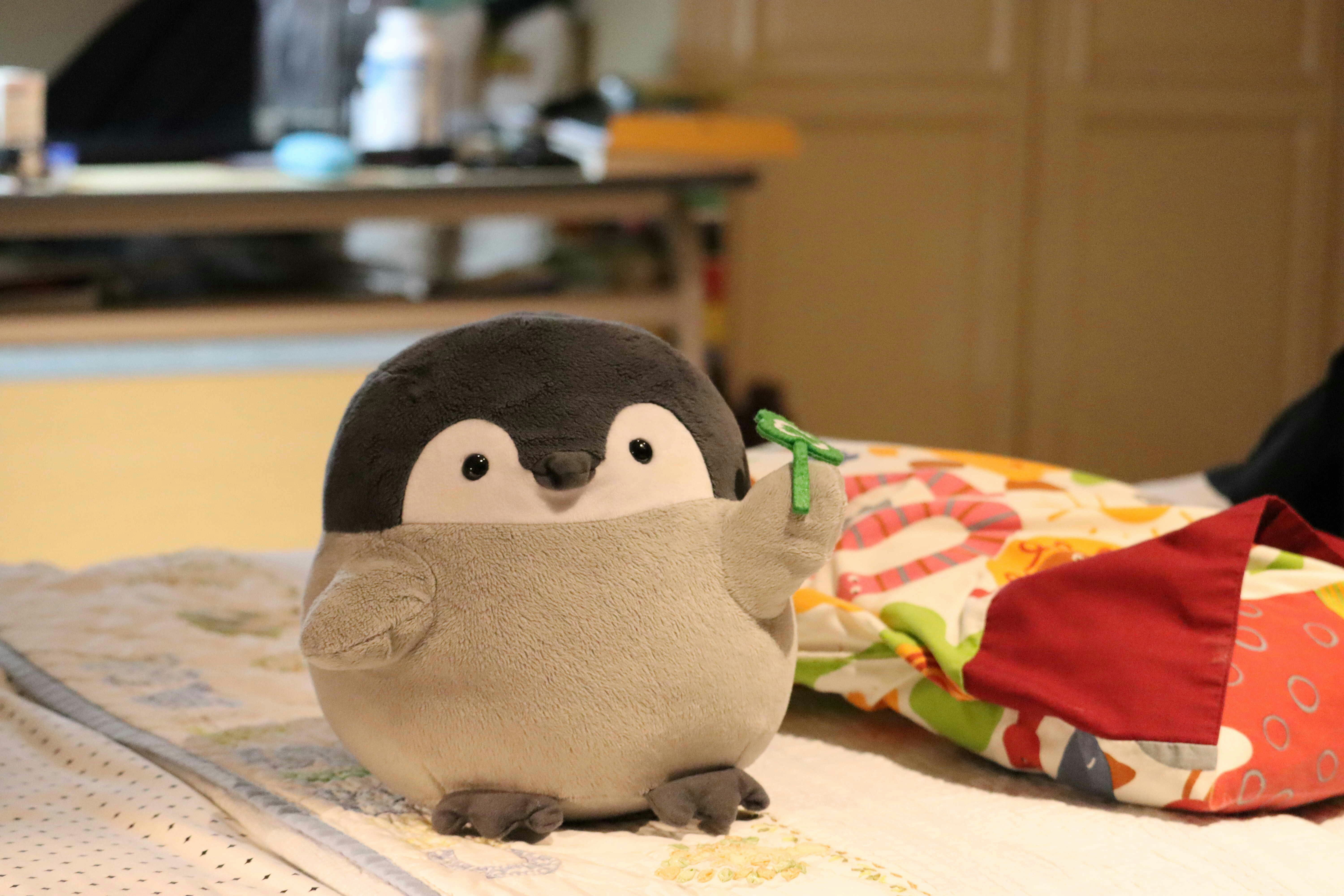 Go to Nicholas Susilo's profile