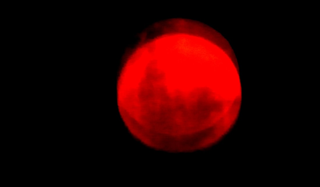 Go to Lena Bauermeister's profile