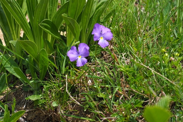 Go to Gerard Avril's profile