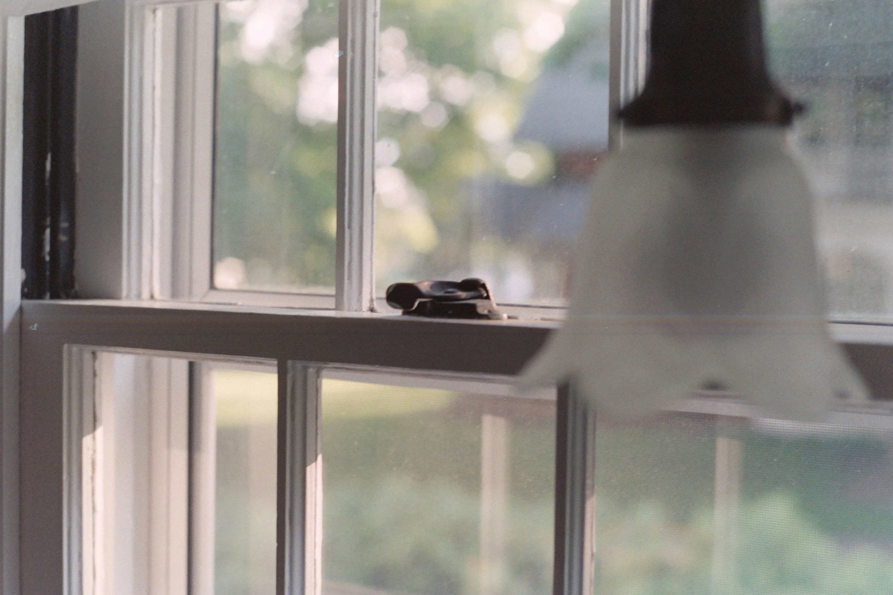 Go to Paige V's profile