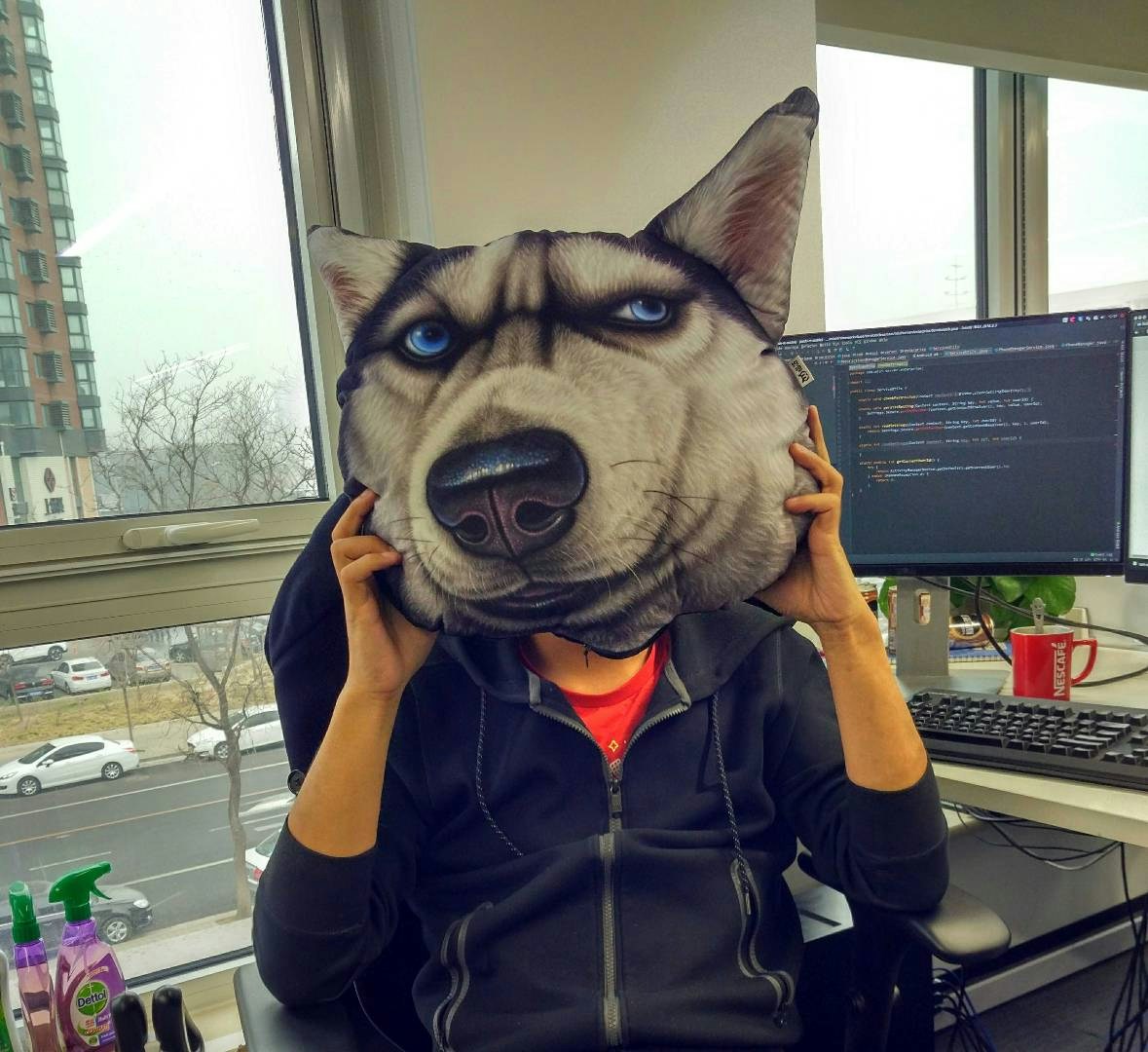 Ir para o perfil de Icarus Yang