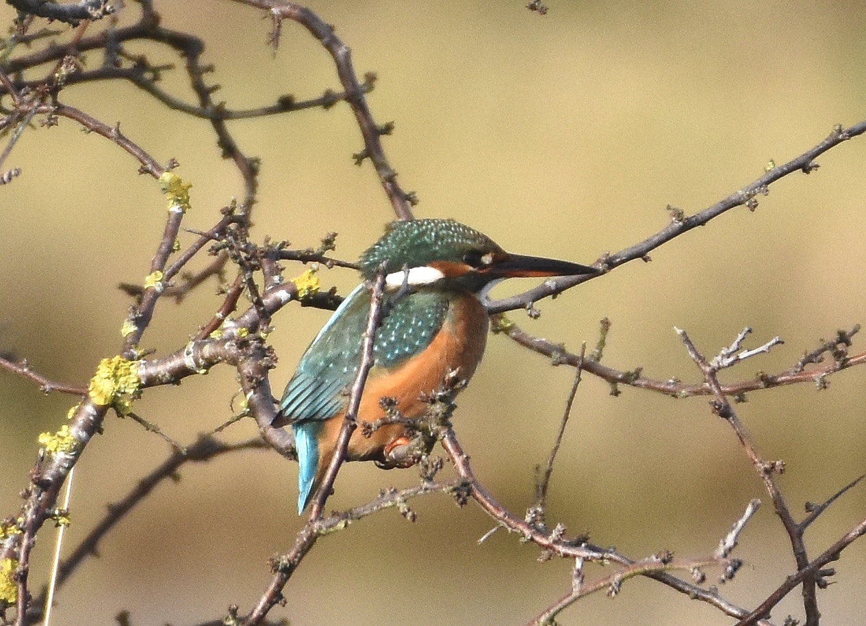 Go to Ryan Pope's profile