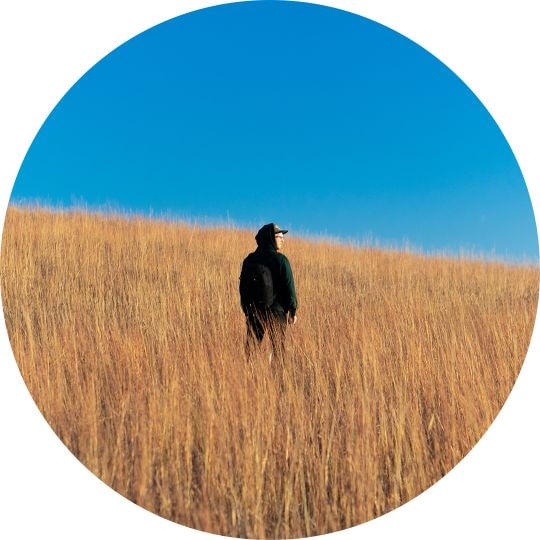 Go to Andrew Mead's profile