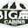 Go to Big Bear Cabins's profile