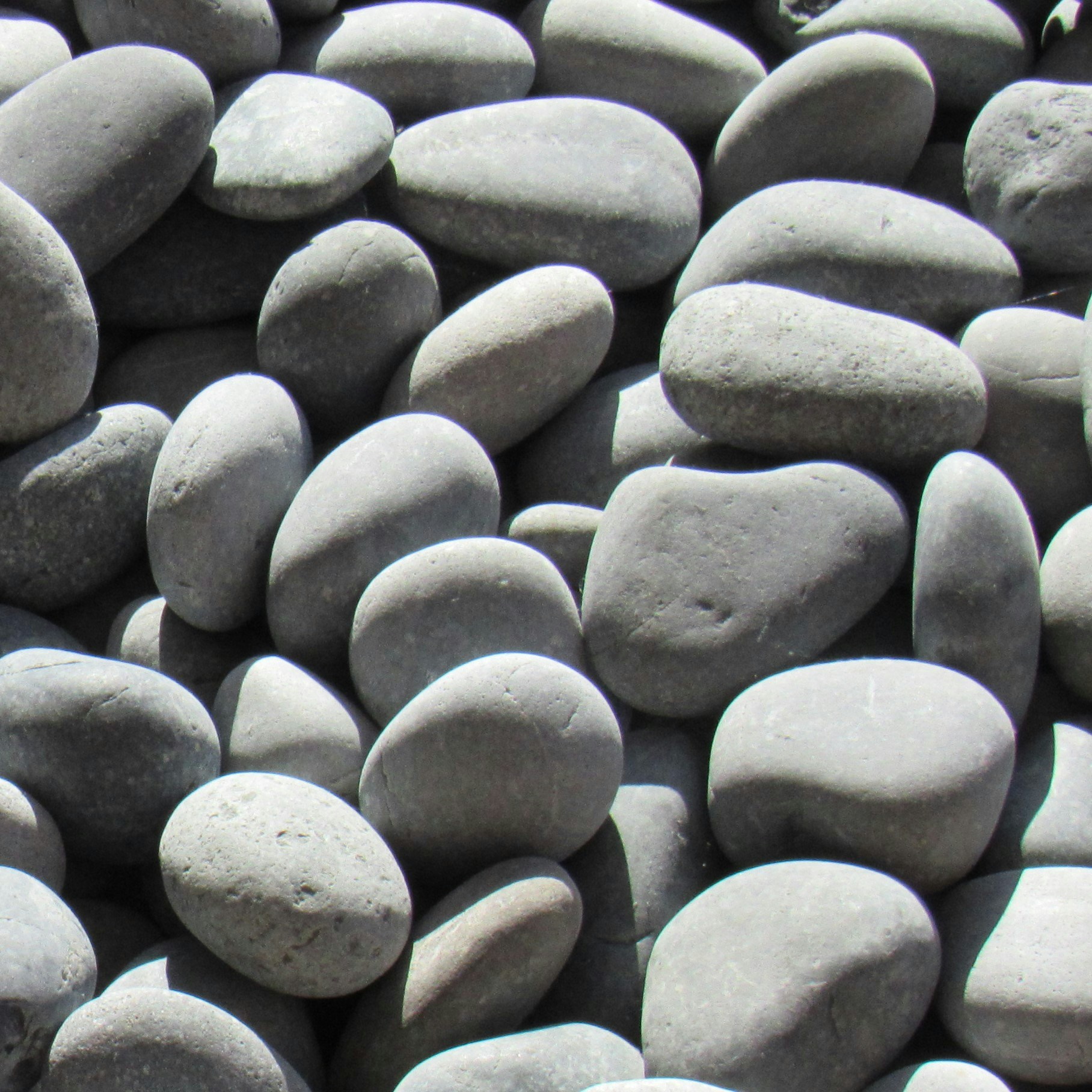 Zum Profil von Gorrin Bel