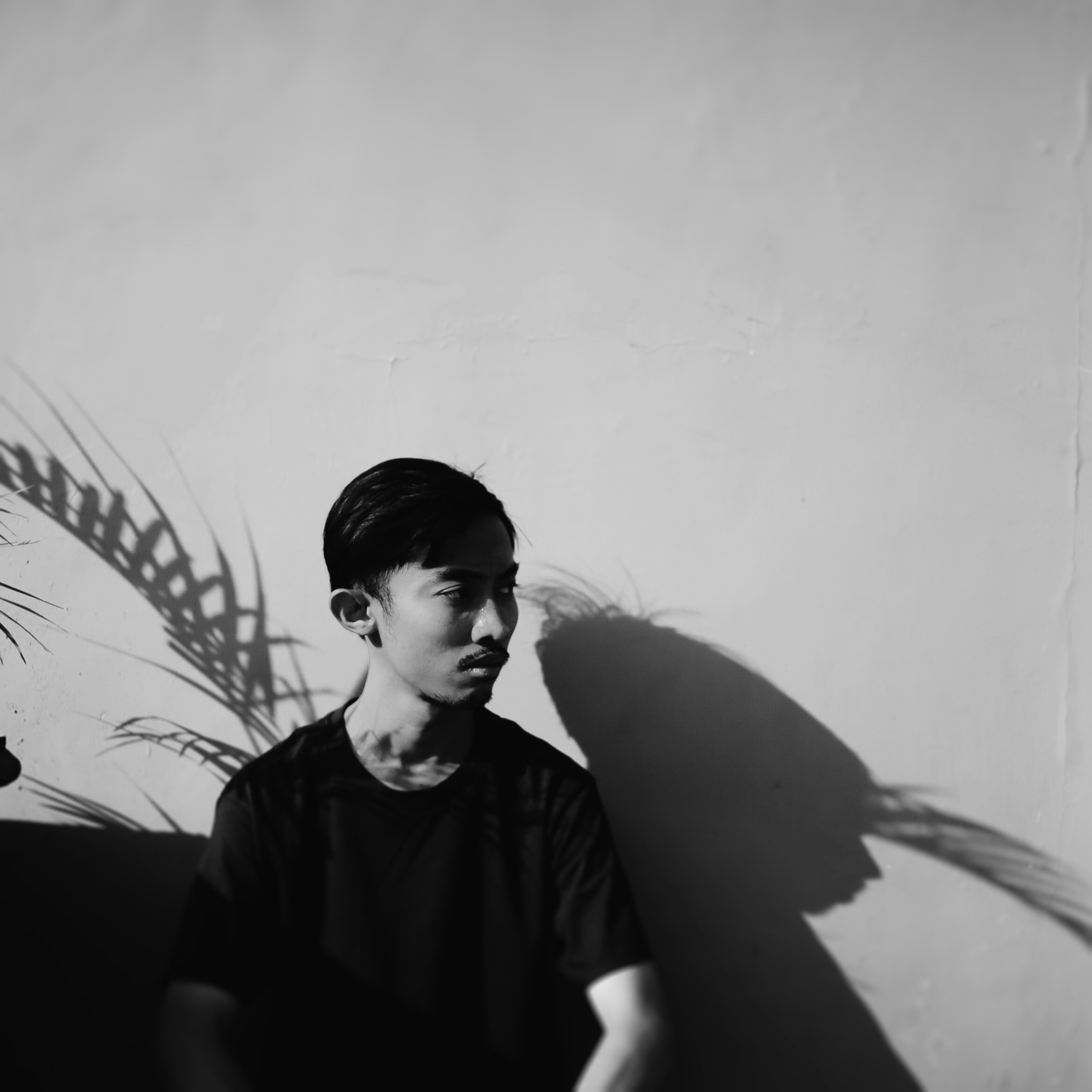 Go to Oktavisual Project's profile