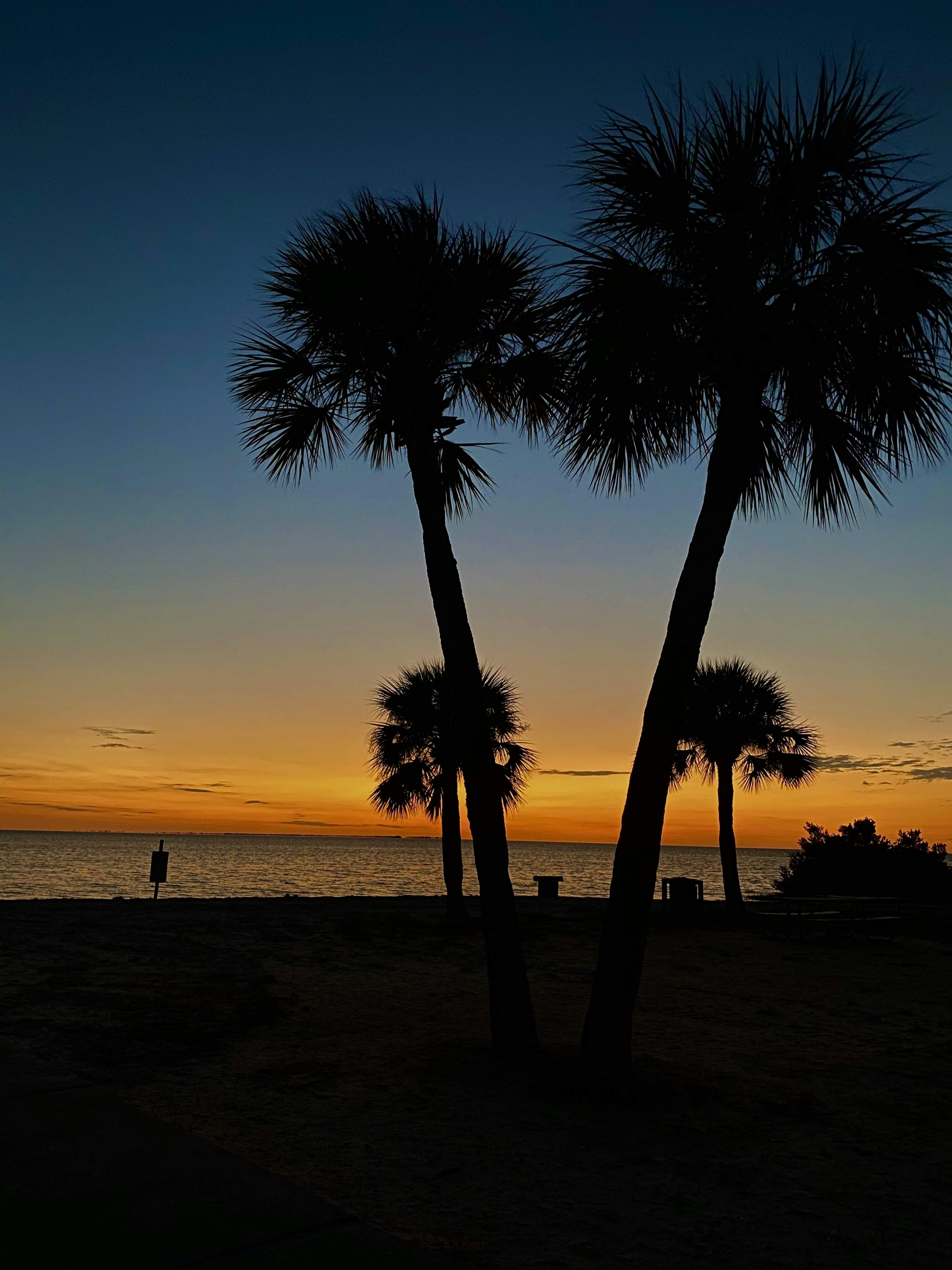 Go to Meadow Marie's profile