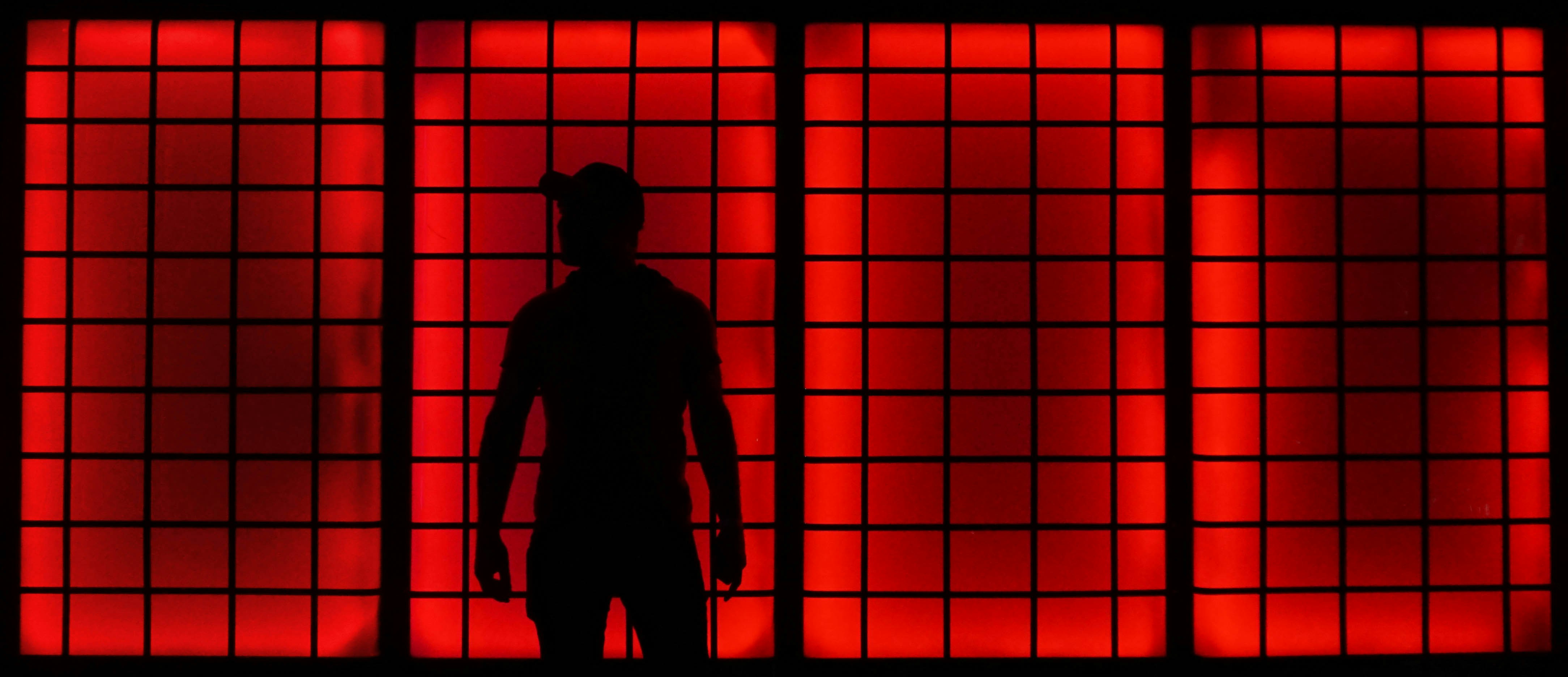 Ve al perfil de David García