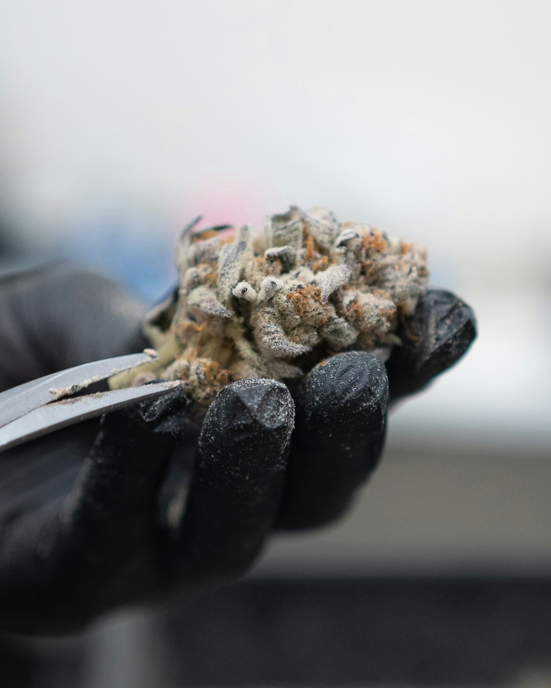 Go to XRP Relic's profile