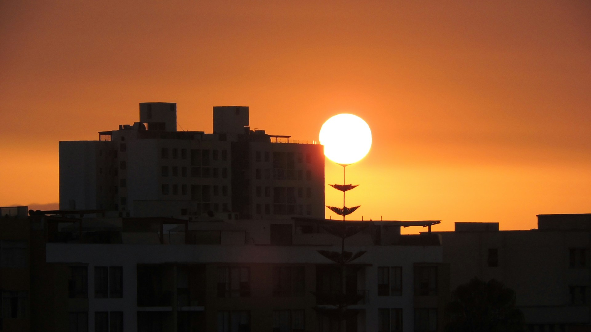 Go to Sofia Khlebnikov's profile