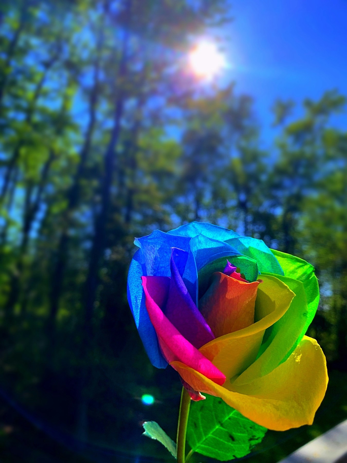 Go to Carly Smiley's profile