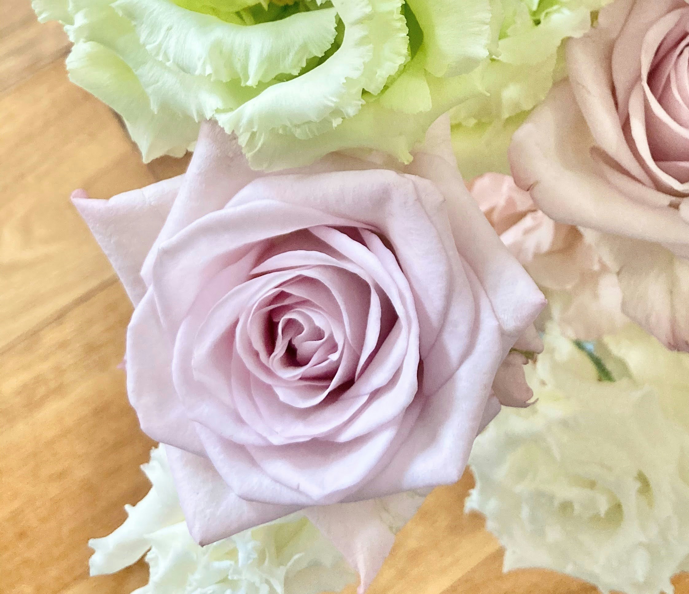 Go to Nana Ogashiwa's profile