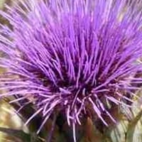 Go to Mark Foster's profile