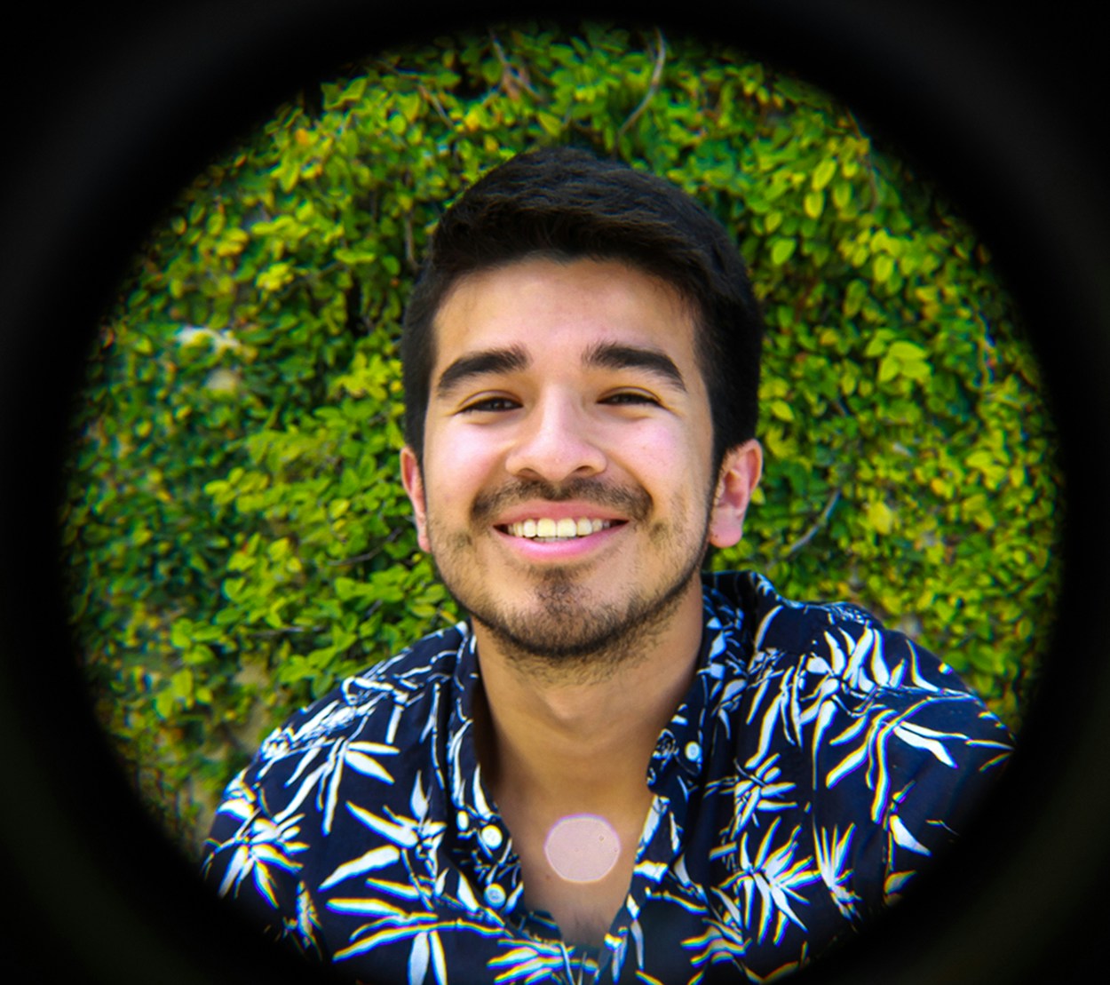 Go to Daniel Chicchon's profile