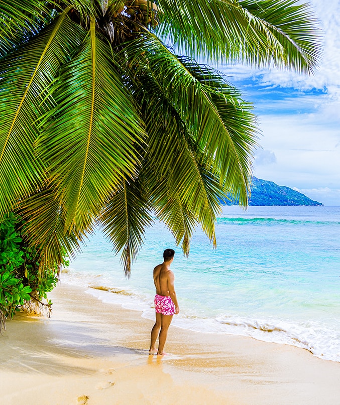 Ve al perfil de Luka Odak