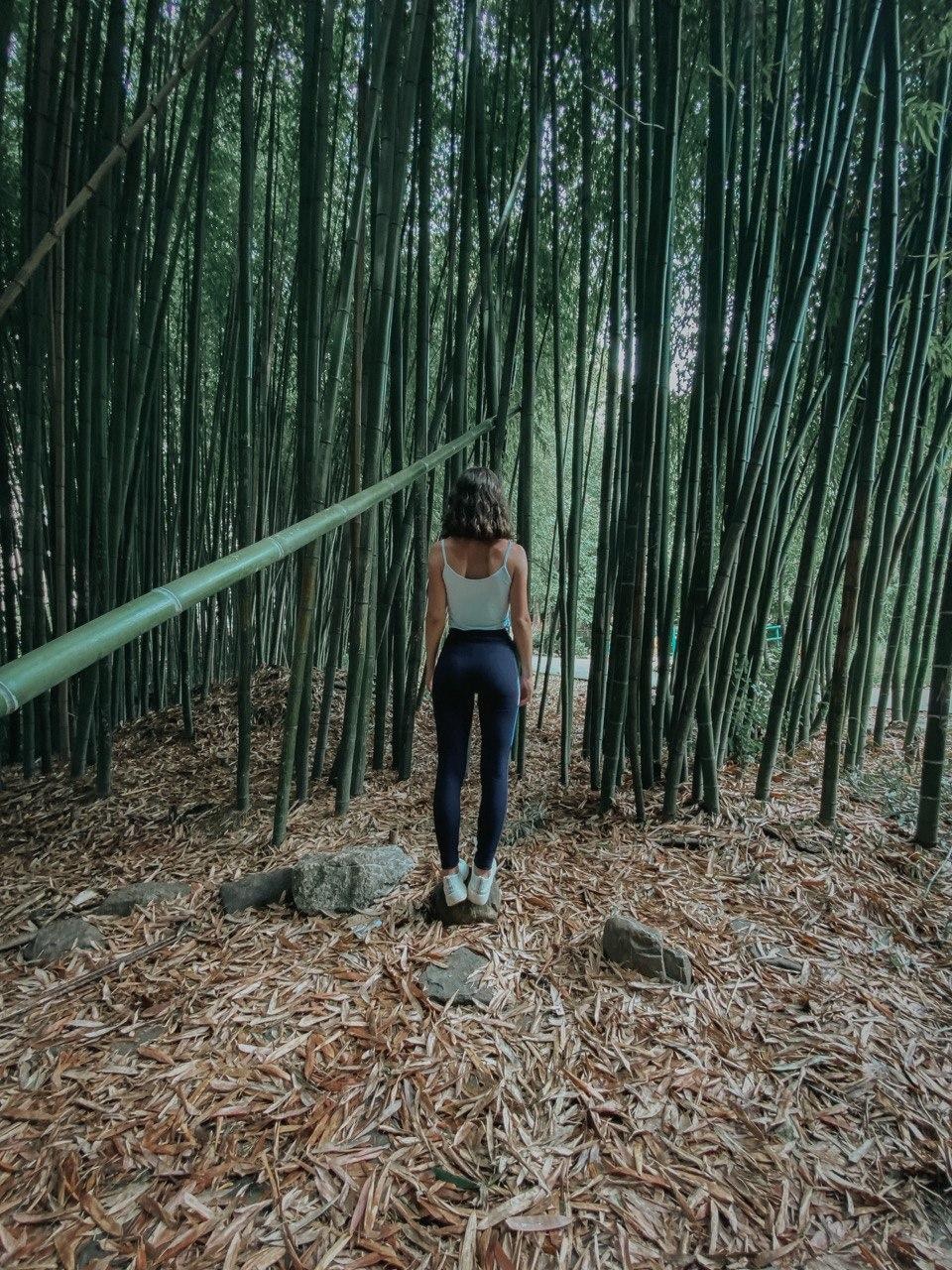 Accéder au profil de aleksandra