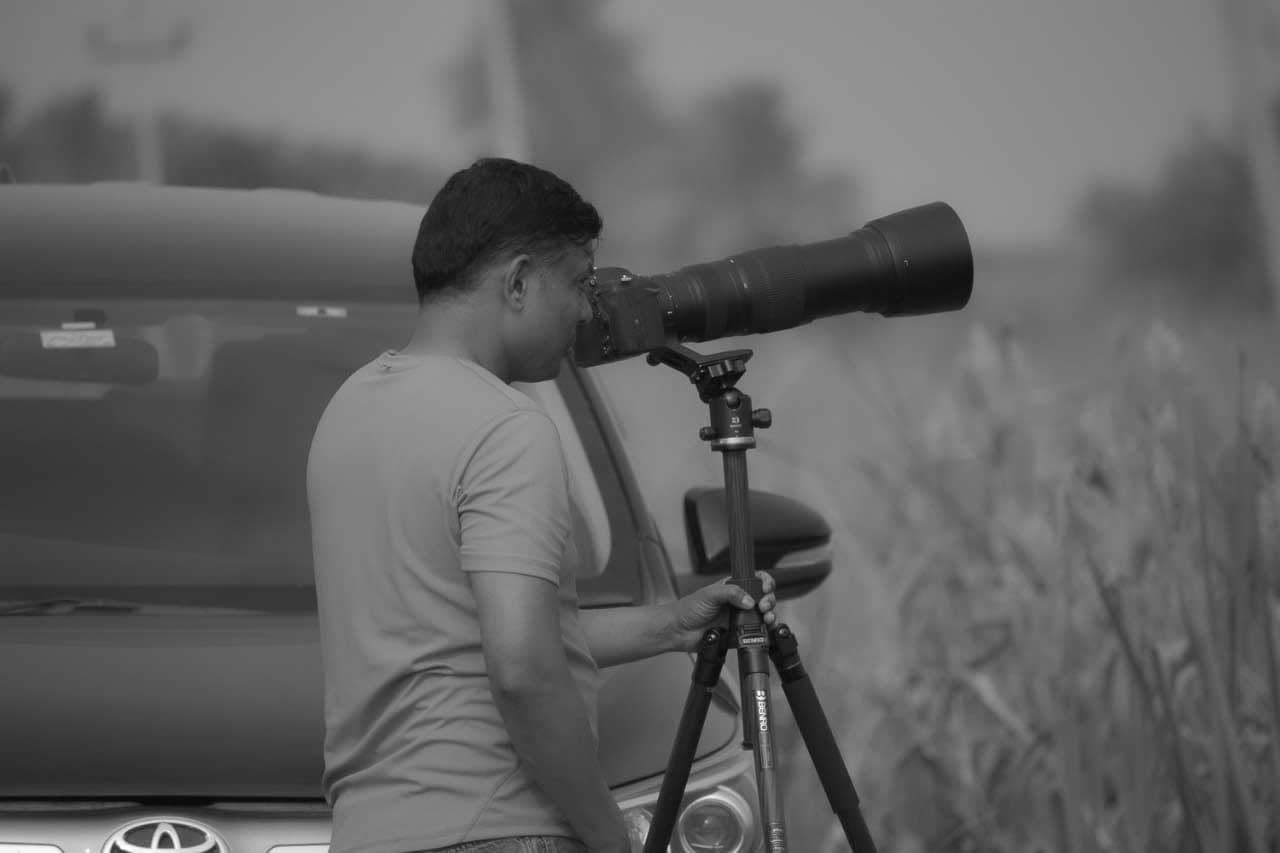 Avatar of user Shane Francis