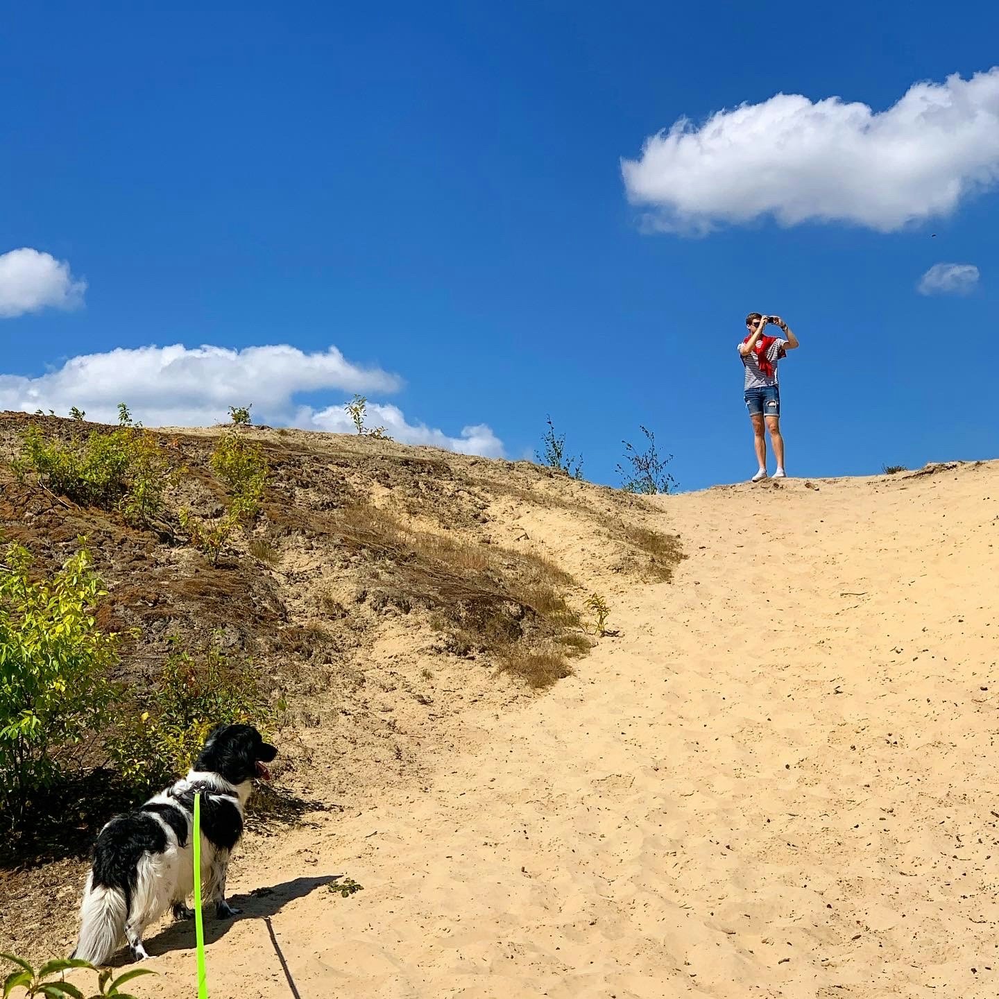 Go to Thom Reijnders's profile