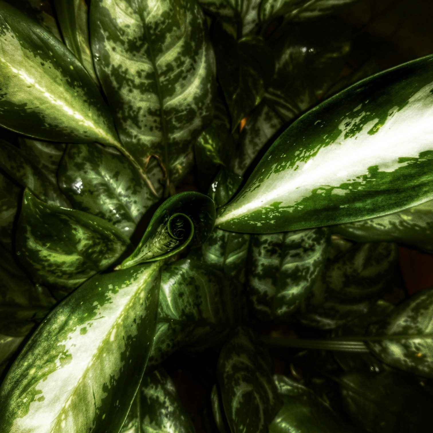 Go to Omar Farooq Shaik's profile