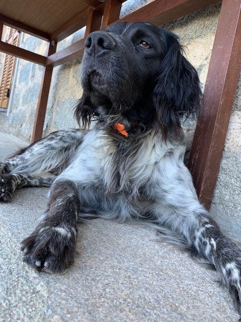 Go to marc Colonna D’Istria's profile