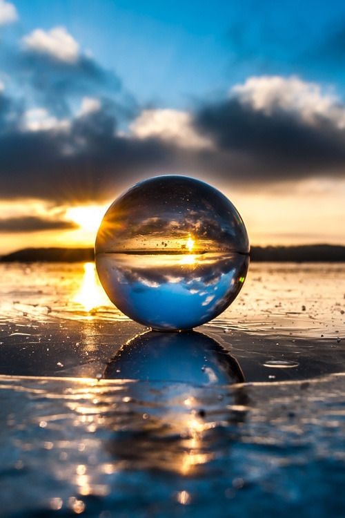 Go to Nova Brodhead's profile