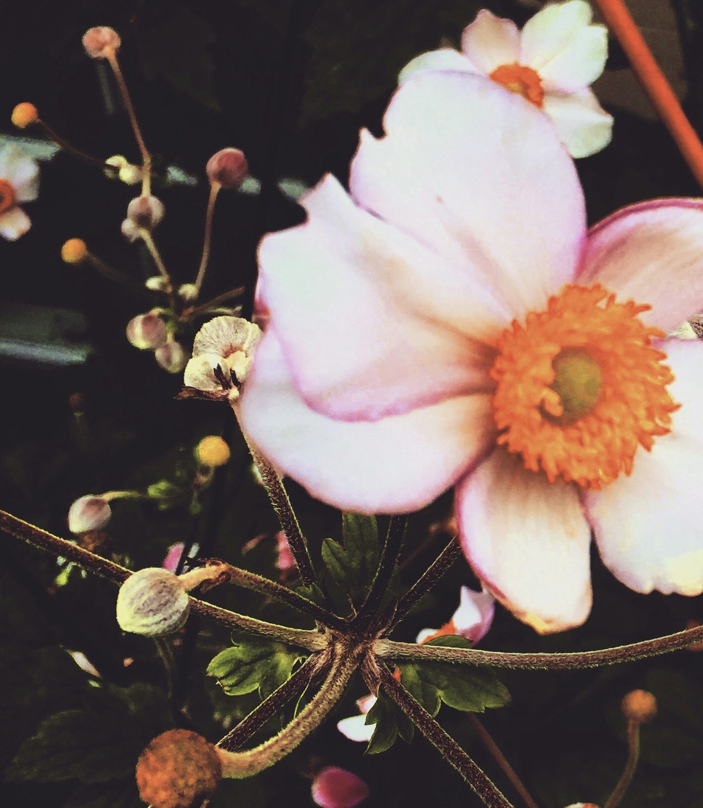 Go to Rebekah Salt's profile