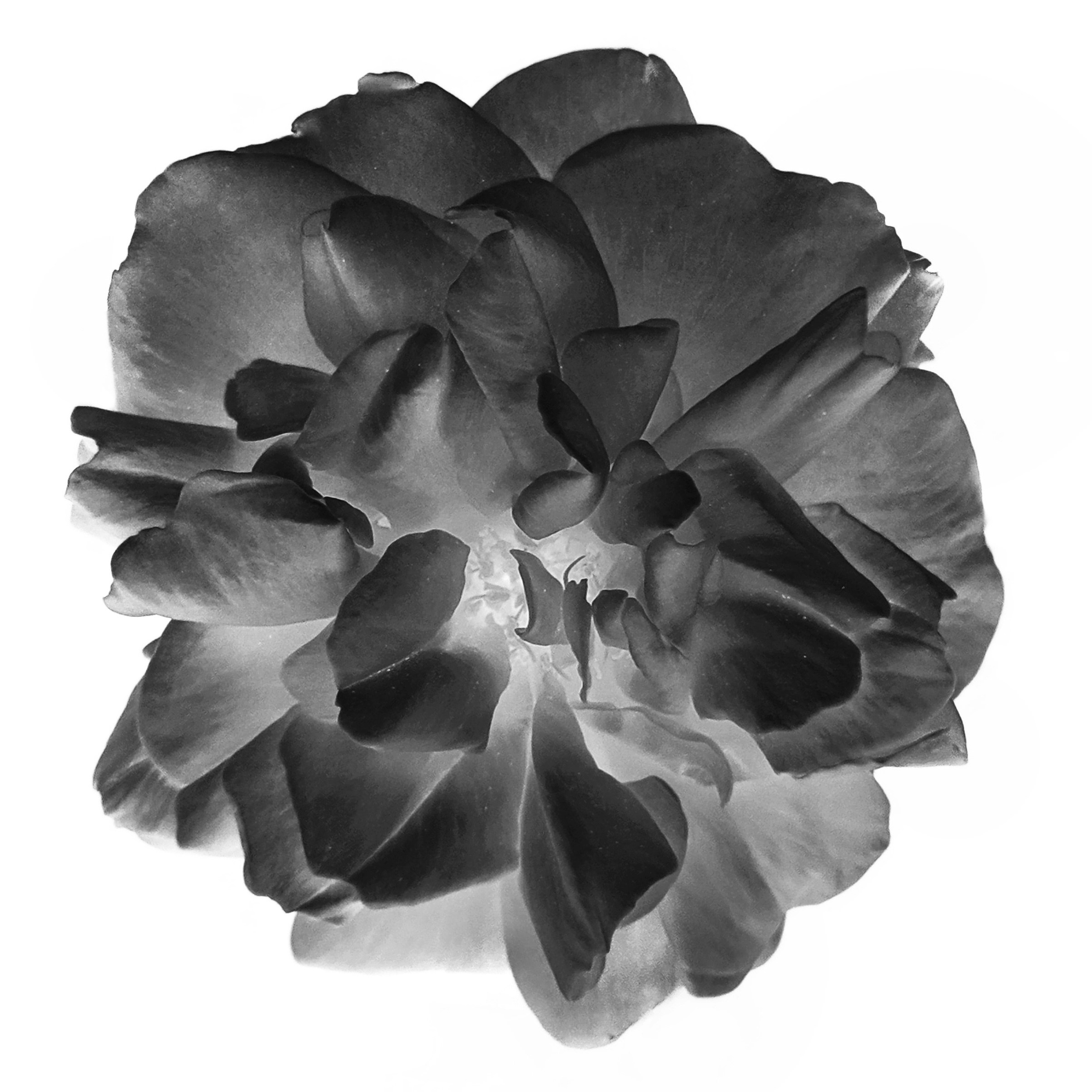 Zum Profil von Kadet ᅠ