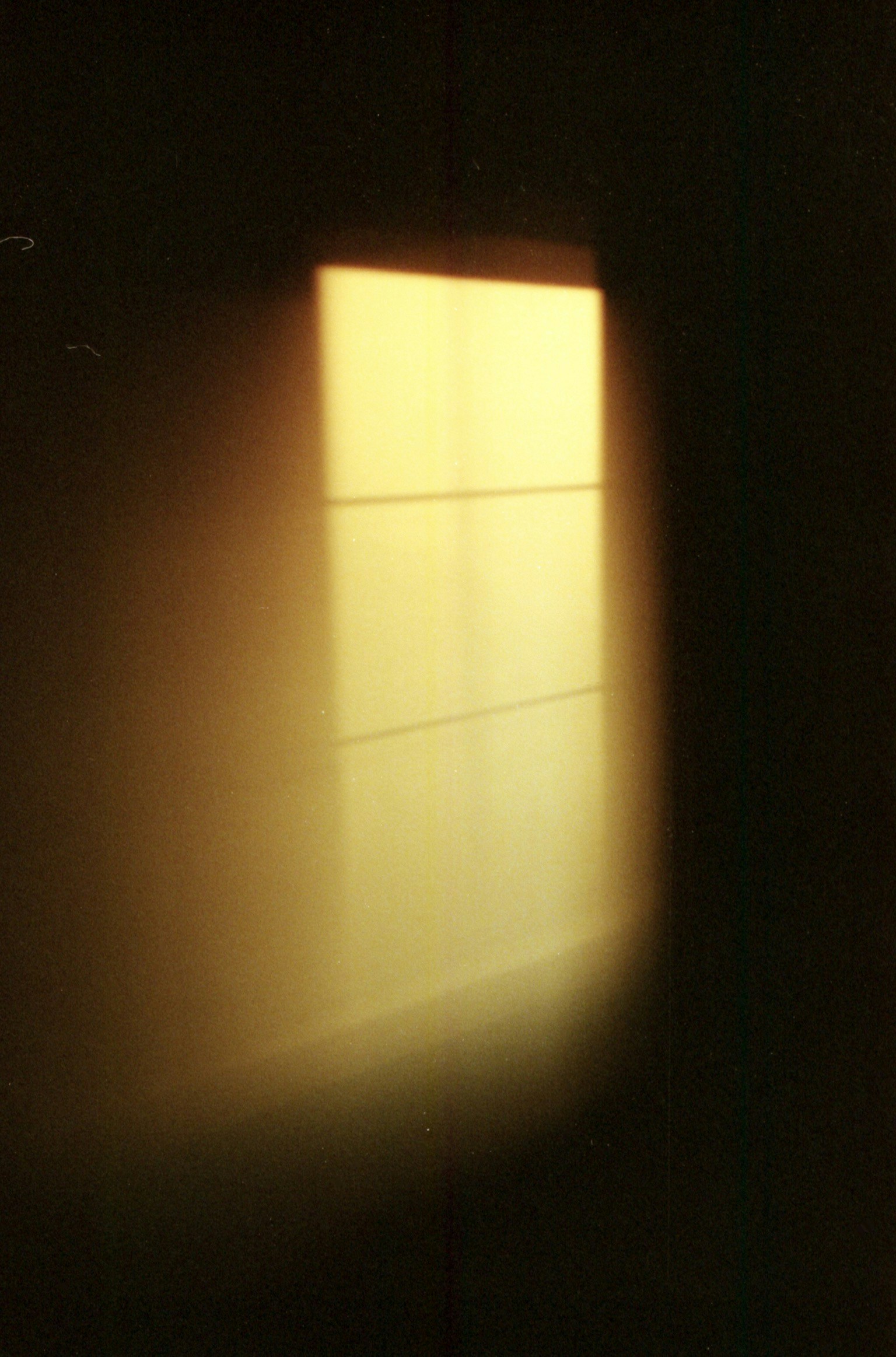 Go to Rick Davis's profile