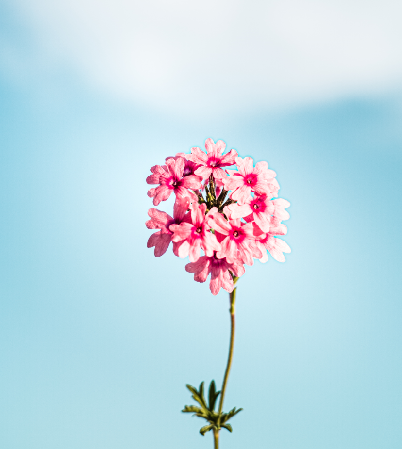 Ve al perfil de Patrick Shaun