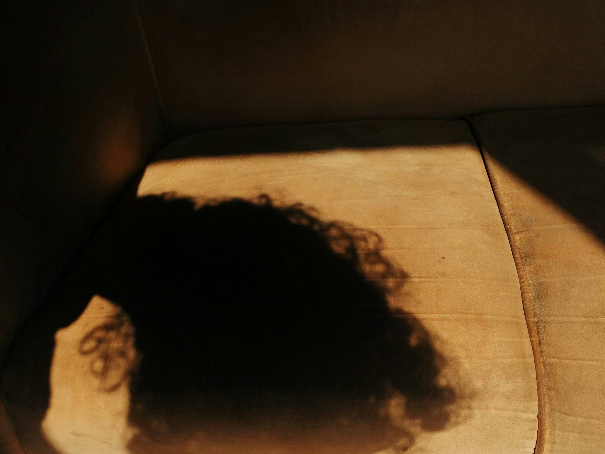 Ve al perfil de Shirley Morgan
