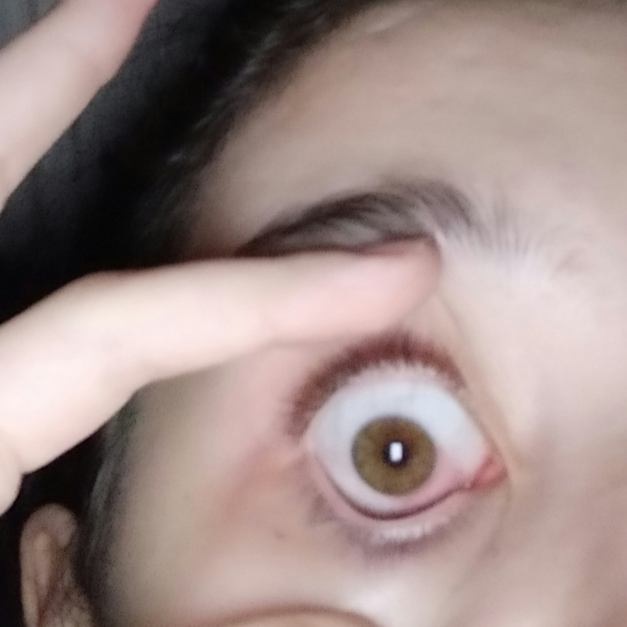 Zum Profil von Alexandra Morozova