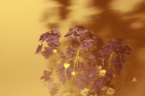 Go to Mks Mkss's profile